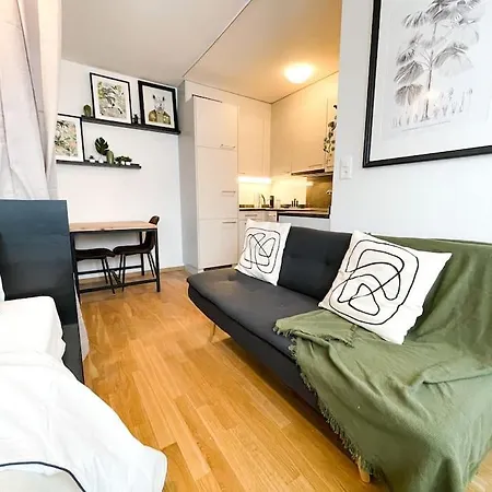 Comfortable Apt+wifi+smarttv+netflix+rooftop 苏黎世