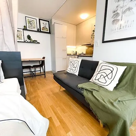 公寓 Comfortable Apt+wifi+smarttv+netflix+rooftop 苏黎世