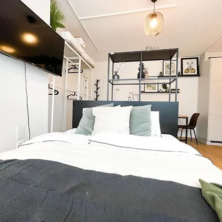 公寓 Comfortable Apt+wifi+smarttv+netflix+rooftop 苏黎世