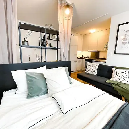 Apartment Comfortable Apt+wifi+smarttv+netflix+rooftop Zurich