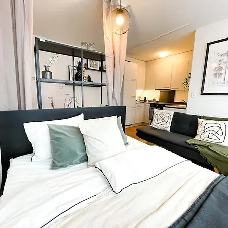 Comfortable Apt+wifi+smarttv+netflix+rooftop Zurych