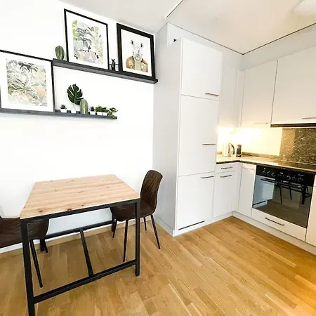 Comfortable Apt+wifi+smarttv+netflix+rooftop Zurich
