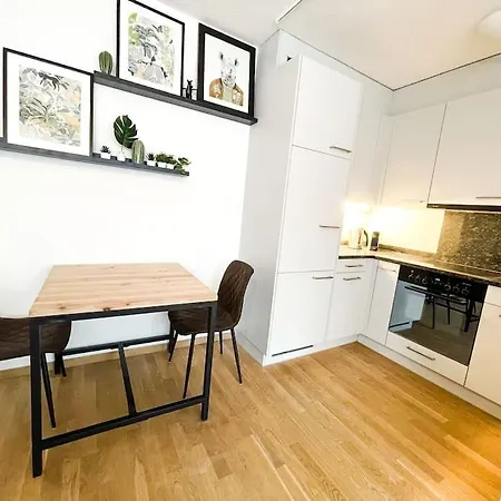 Comfortable Apt+wifi+smarttv+netflix+rooftop Zurique