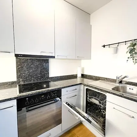 Apartamento Comfortable Apt+wifi+smarttv+netflix+rooftop Zurique