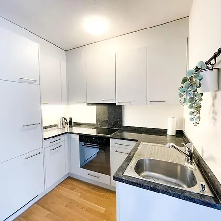 Appartement Comfortable Apt+wifi+smarttv+netflix+rooftop Zürich